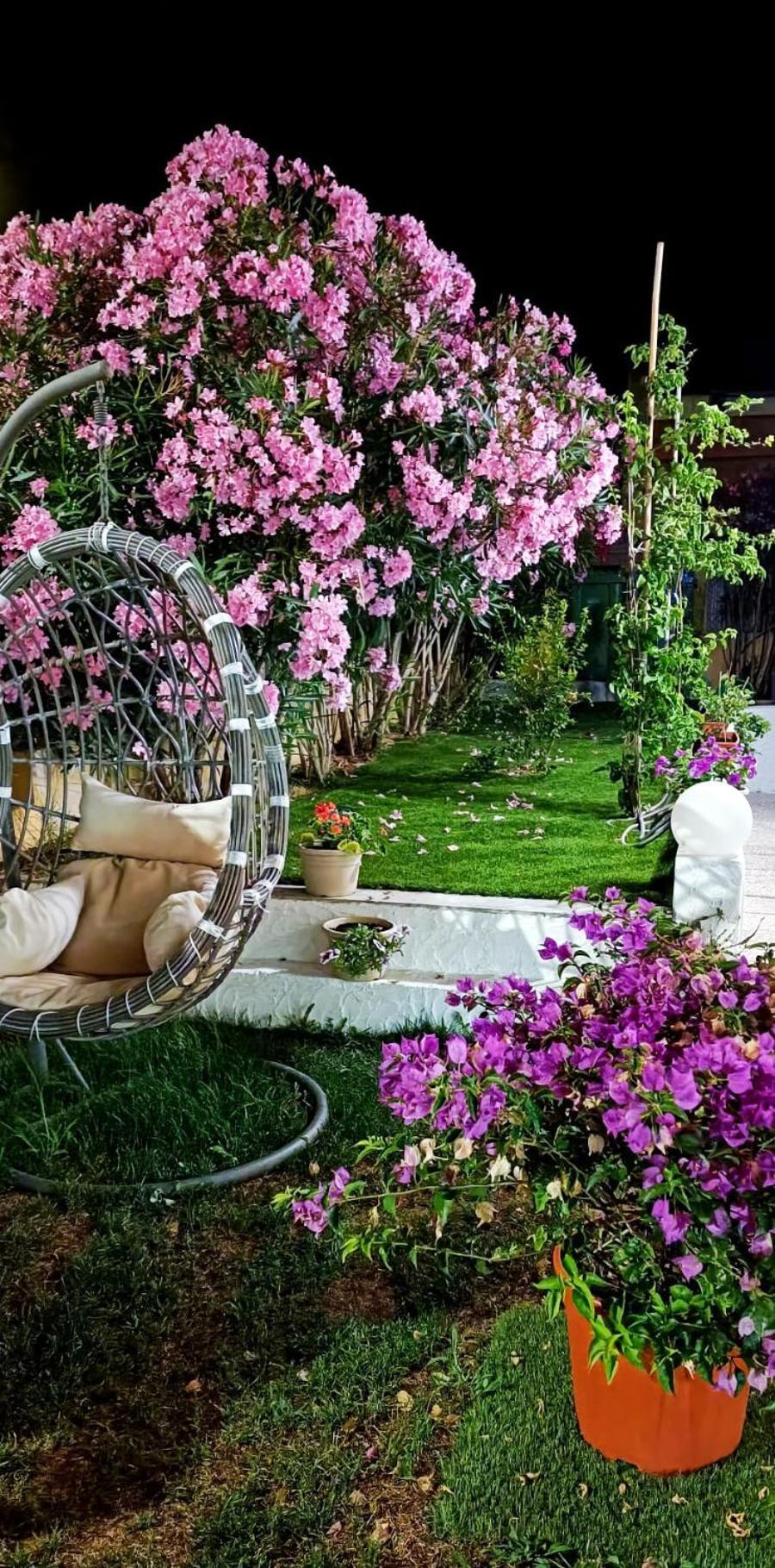 La Smeralda - Boutique Rooms And Breakfast Golfo Aranci Luaran gambar