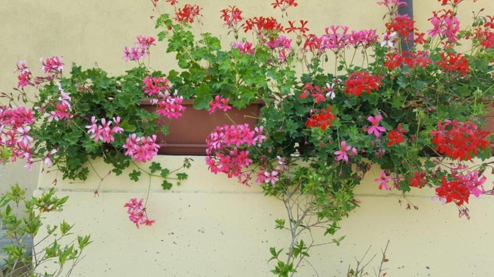 La Smeralda - Boutique Rooms And Breakfast Golfo Aranci Luaran gambar